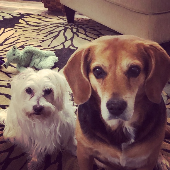 Meet your Posher, Marsha - Picture 2 of 2